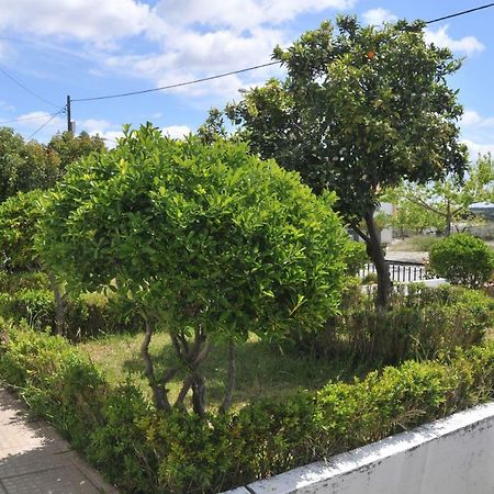 Casa da Lardosa Exterior foto